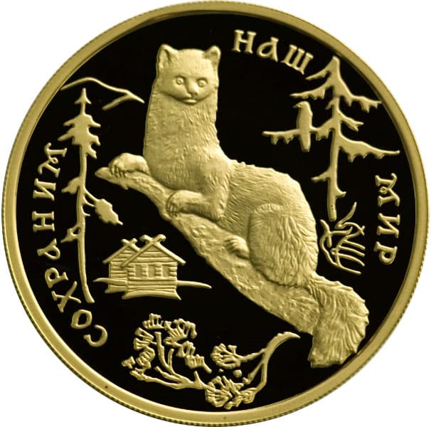 100 рублей 1994 года Соболь
