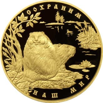 10 000 рублей 2008 года Речной бобр