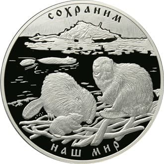 100 рублей 2008 года Речной бобр, серебро